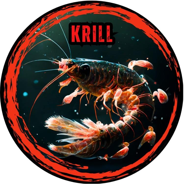 krill.jpg