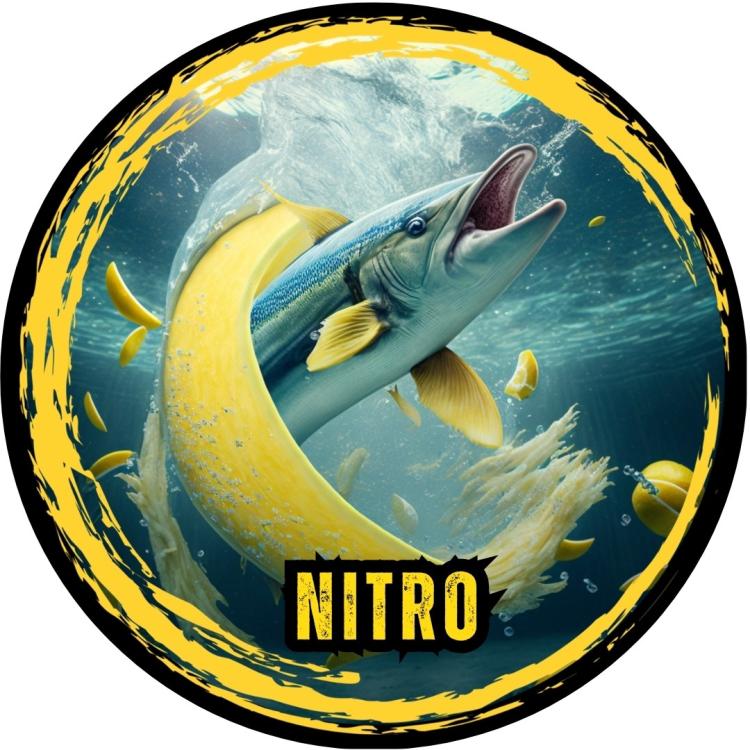 nitro.jpg