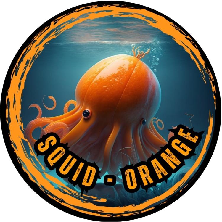 squidorange.jpg