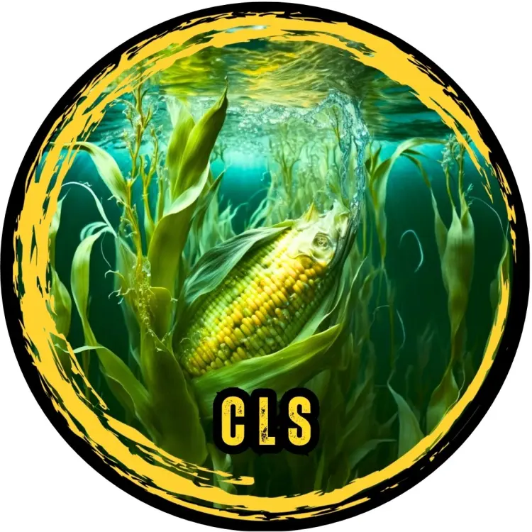 cls.jpg