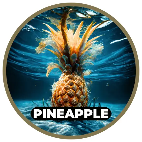 Etykieta_smak_RK_Baits_Pineapple.webp