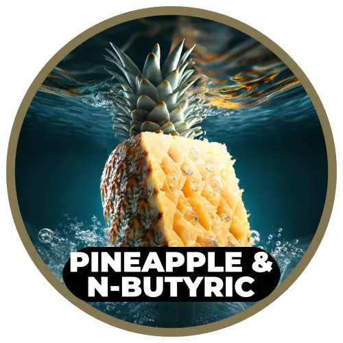 Etykieta_smak_RK_Baits_Pineapple_and_N-Butyric.webp