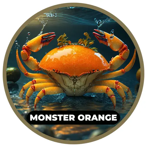 Etykieta_smak_RK_Baits_Monster_Orange.webp